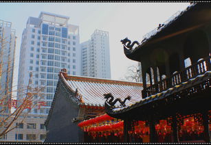 皇寺广场的历史与文化