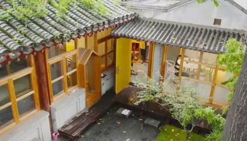 前言：霉菌与金碧辉煌的反差