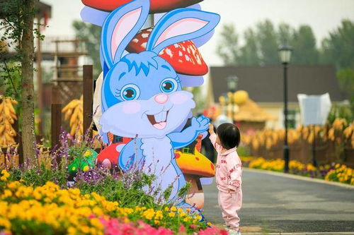 1. 爱心养成：从喂食开始