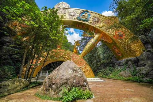 当金山的变幻之美：从荒漠到草原的美景之旅