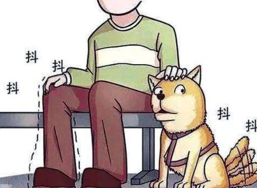 为什么我会在梦中边走边拉屎？