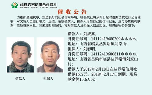 2. 各种风格任你选！从严肃到搞笑全覆盖