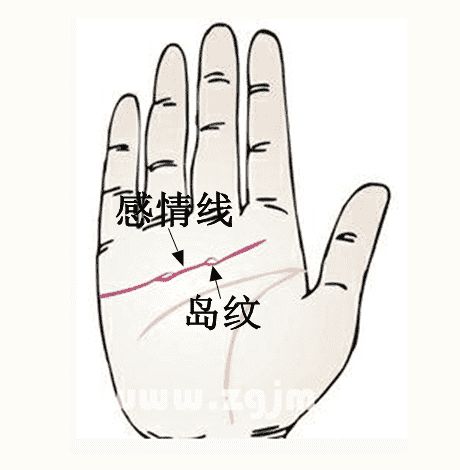 如何从网上手相图片中获取准确的手相信息？