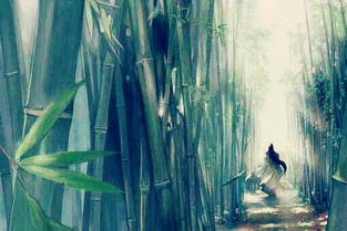 第一章：竹林深处的迷雾与回响