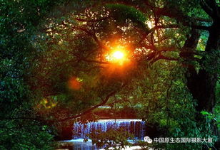 无法逃避