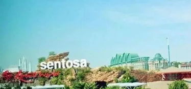 2026年生存指南：如何在旅游灾难中活下来