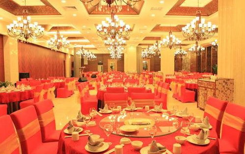 血泪教训：一场价值50万的灾难婚礼