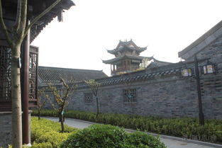 救命！这哪里是服务区，分明是个小型迪士尼