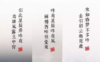 书页翻动的声音越来越巨大