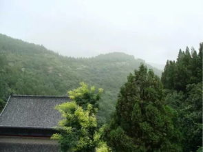三、 江夏舒安·枫香云堡——人造草原的“大坑”现场