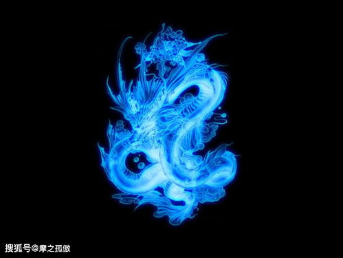 属龙1988年出生的人，2026年换什么手机号能招财？