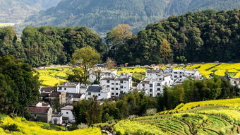 吃喝玩乐：在江岭怎么满足味蕾？
