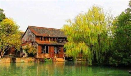 门口西南方可yi栽树吗,大门西南种植柳树风水