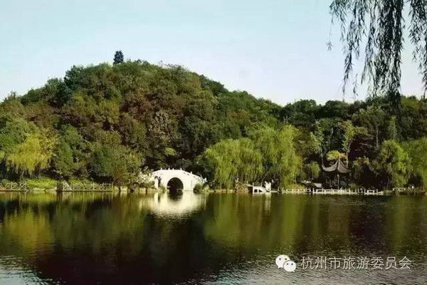 救命！我在半山公园发现了时空裂缝...
