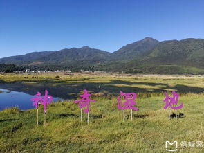 吃住指南：穷游党的天堂