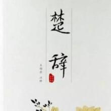 以诗中表示霸气字义的字词命名