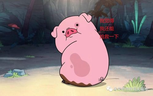 生肖猪一生的姻缘有何特点？其死对头又是哪个生肖？