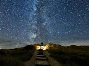 寂静的夜幕， 星河泣血