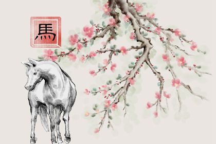 案例二：属马女A小姐的职场逆转术（纯属杜撰）