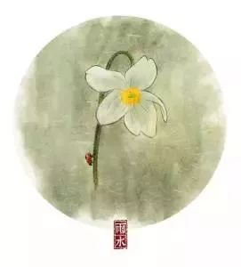 雨水节气传统习俗，爆款节日活动盘点