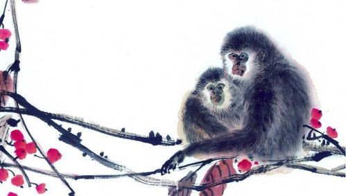 1980年属猴的人2026年运势如何？