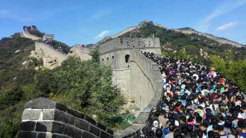 三、特色项目列表（按顺序乱序）