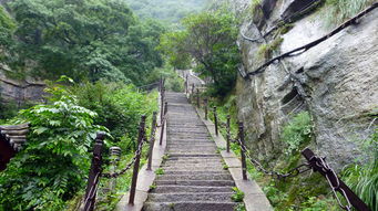 从南阳到华山：一场充满血泪的