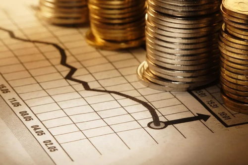 4. 了解资金用途