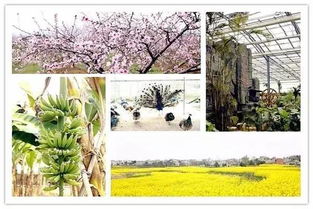 泛舟湖上：享受那份宁静与惬意