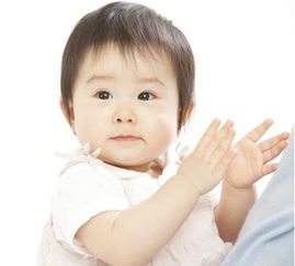 四月生猪男孩取名较大杂烩——别只听官方说法， 来点土味与心声