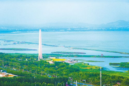 三、 随手写的感受（情感泛滥）