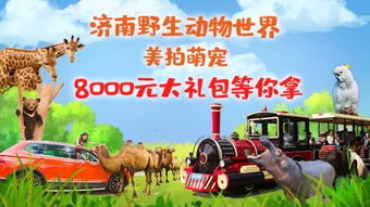 门票价格是个惊天大骗局！