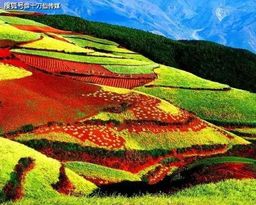 6.1 随身干粮推荐（不保证平安）