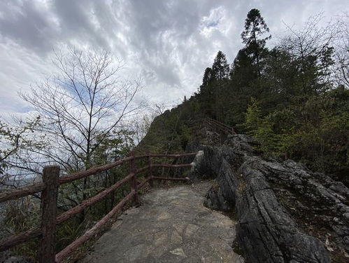 周边特色景点：从“较大峡谷”到“较小巷子”的奇妙跳转