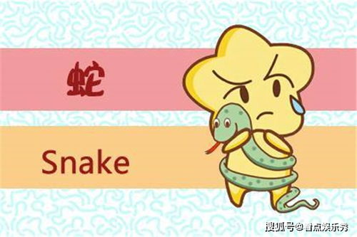 事业运势