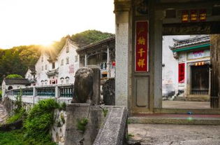 茶馆里的“知情人士”