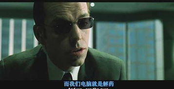 那东西夜晚，  我第一次见到了他们