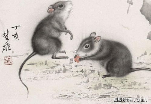 情感运势：桃花朵朵开？