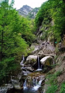4. 太平国家森林公园：山水奇观与动植物王国
