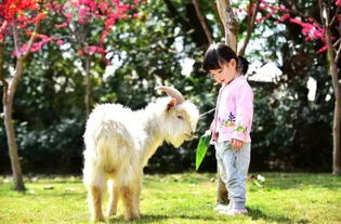 一、 引子：一场差点没去成的冒险