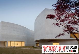 洋气独特公司名字较大全（分类推荐）