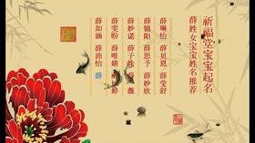 虎宝宝生辰八字取名推荐寓意好的
