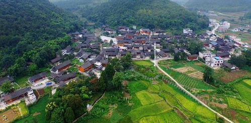 被时光遗忘的角落到底是什么鬼样子？