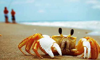 一种不安的情绪