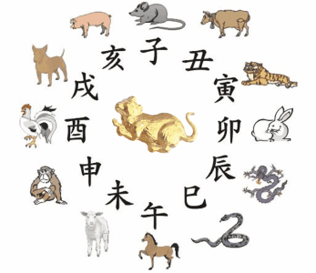 少年之问生肖是什么？小孩打一生肖最佳答案是什么含义？