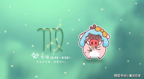 第二名：双子座——多面手与百变星君