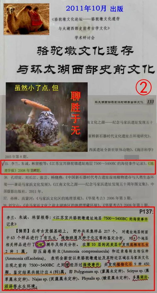 重见天日打一精准生肖，谜底是哪一个生肖，其意思是什么生肖在困境后得以重获自由？