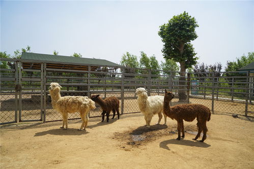 惯与门票的那些事儿这才是重点中的重点