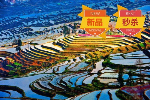二、云南·元阳哈尼梯田（再一次）——再说一次主要原因是太烂了