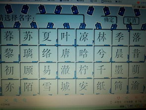 一、  名字的构成要素：音韵、寓意与文化底蕴底蕴